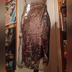 Sequin Skirt
